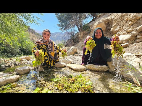 Crossing Hard Paths for Grape Harvest Soghra s Nomadic Life