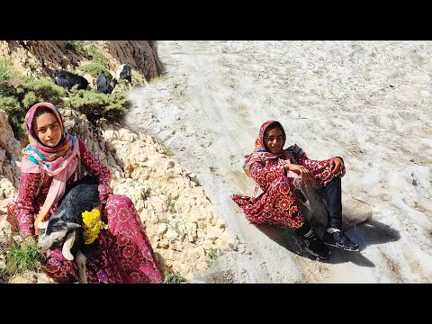 A routine day of nomad s girl
