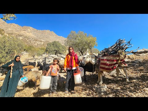 Mountain Treasures Oak Gathering by Nomadic Women in the