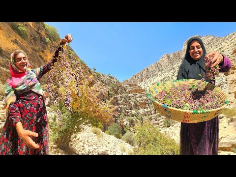 Adventure in Zagros Mother Daughter Harvesting Barberries