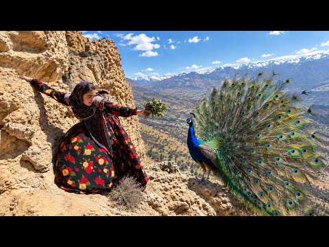 Zeynab s Mountain Adventure Takes an Unexpected Turn