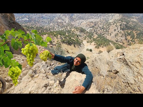 Crossing Cliffs for Grapes Soghra s Sacrifice for Her 7