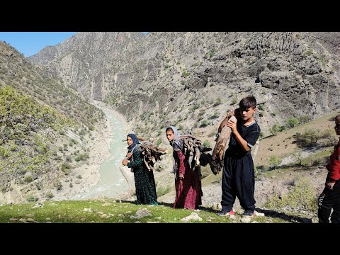 Firewood collection by a village family