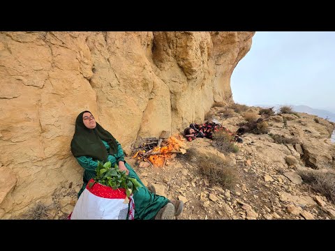 Crossing the Tough Zagros Mountains for a Precious Plant