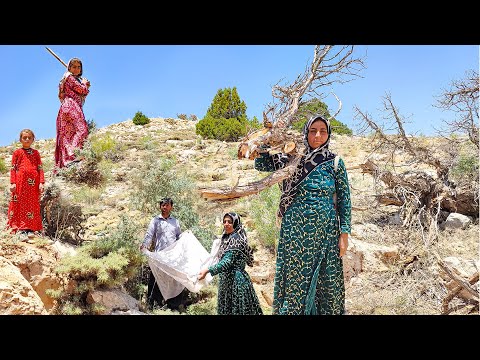 Mountain Harvest and Alfresco Lunch Rosta s Nomadic