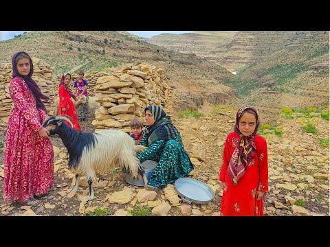 See how a village family milks their goats and prepares