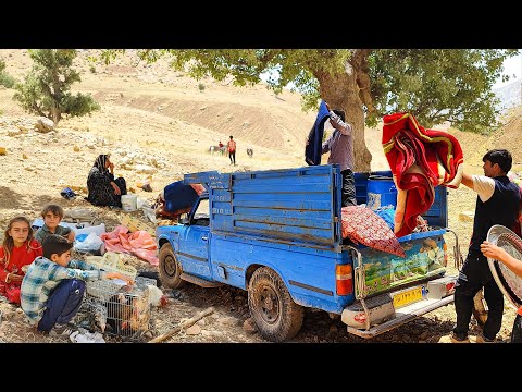 Nomadic Life Unveiled A Day in the Life of Sheepherding