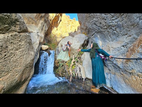 Crossing Tough Mountain Trails to Pick Wild Fruits in the