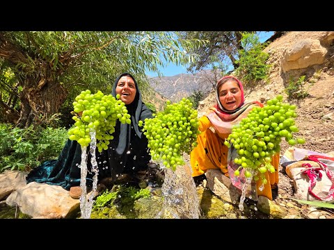 Crossing Dangerous Paths to Pick Grapes for Her 7 Children