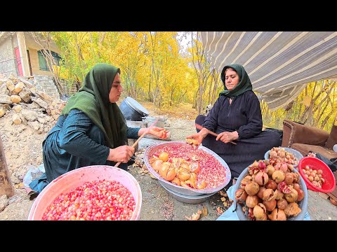 Soghra s Adventure in the Zagros Mountains Reunion with Her