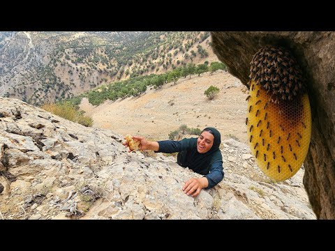 Searching for the Rarest Honey in the Cliff Nomadic Woman