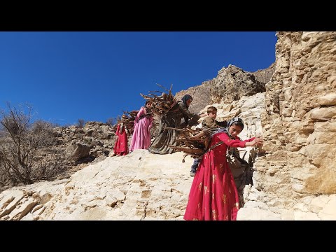 A nomadic family to collect firewood