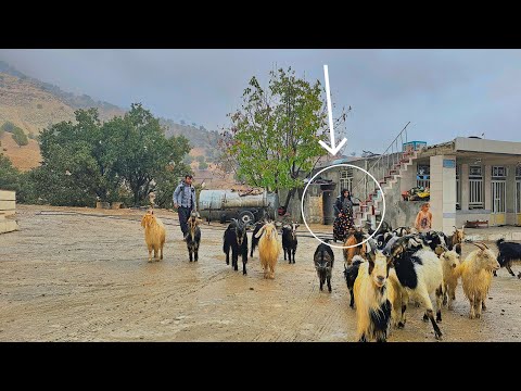 Daily Life of a Tribal Woman Baking Local Bread in a Tribal
