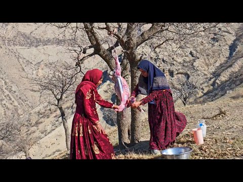 Accompanying two nomadic ladies in the mountains of Iran