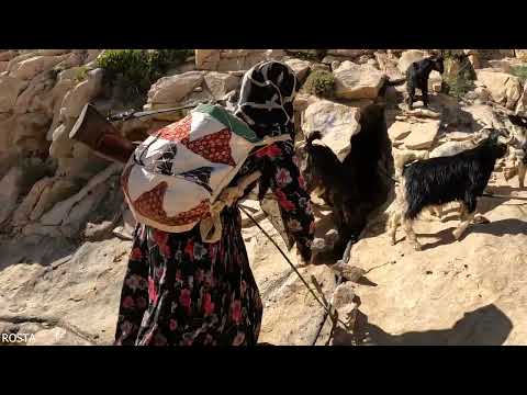 Nomadic Routine Kid Herding Shooting Practice and Evening