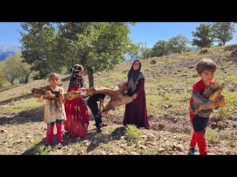 Exploring Nomadic Life Inside the Rosta Channel s Journey
