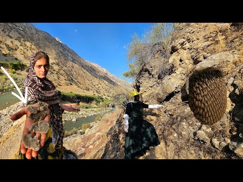 Searching for the World s Rarest Honey A Nomadic Family s