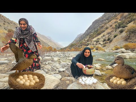 Collecting Blue Duck Eggs by a Raging River in the Zagros