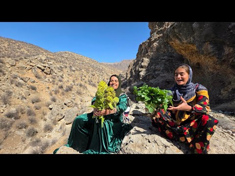 Wild Mountain Harvest Soghra Zeinab Picking Ganbo in the