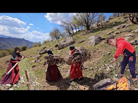 Technology and skill of nomadic women in collecting firewood