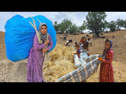 see how dificalt is harvest in nomads