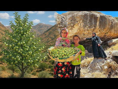 Picking Wild Apples in the Zagros Mountains Nomad Mom s