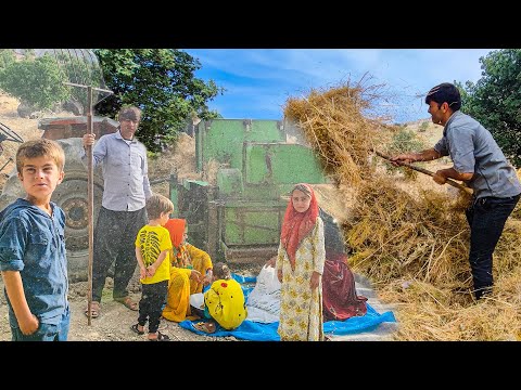 the final day of harvest in our village
