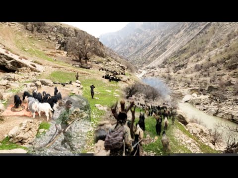 Nomad Life 2023 Daily Routines and Chores