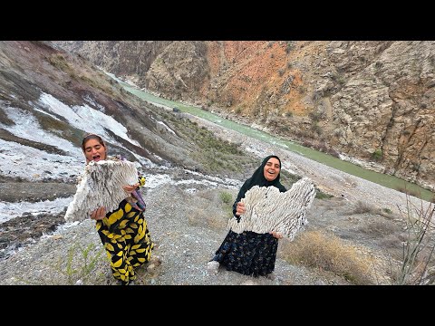 Braving the Harsh Mountains for Salt The Story of a Nomad