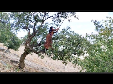 Picking acorns by a village lady