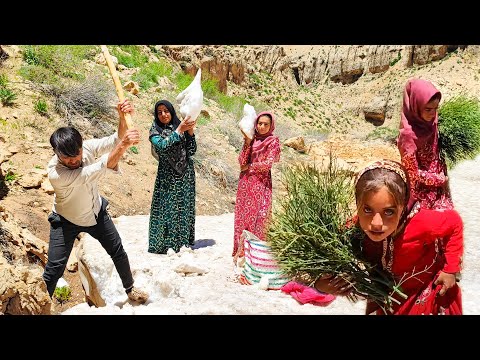 The nomadic family went to the mountains and collecting