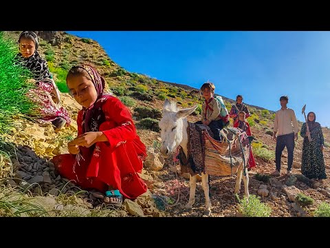 See how nomadic families live in the mountains