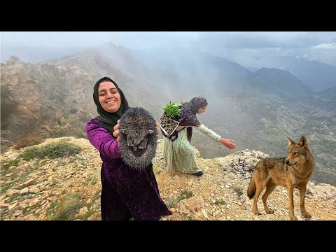 Soghra and Zeinab Faced a Wild Wolf in the Harsh Zagros