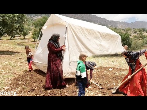Everyday Nomad A Day in the Life of a Nomadic Family