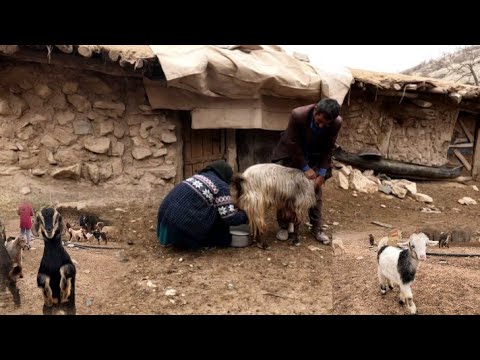 Village Life Daily Activities of Villagers