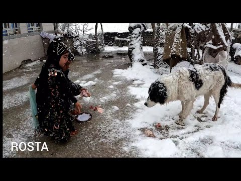 Cooking chicken dinner the life of the village and nomads
