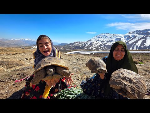 OMG What Did Soghra and Zeinab Find in the Zagros Mountains