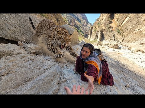 Zeinab s Battle with a Leopard in the Zagros Mountains