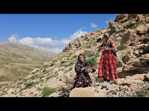 Harvesting the Highlands A Nomadic Woman s Journey to