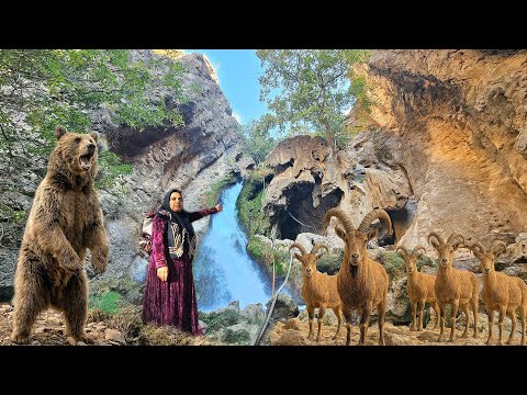 Wild animals suddenly encounter a nomadic woman in the