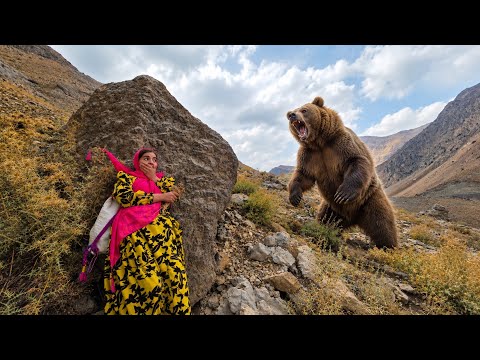 Unexpected Bear Encounter in the Wild Zagros Mountains