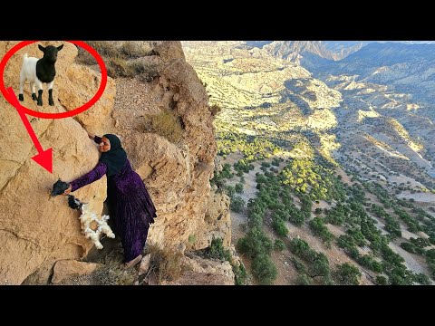 Nomadic Woman Finds Her Lost Baby Goat DEAD in Harsh