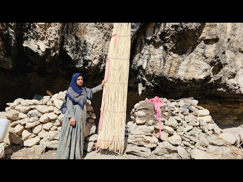 Making reeds by nomadic women