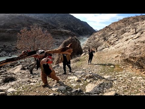 Bringing firewood for heating and cooking nomadic and
