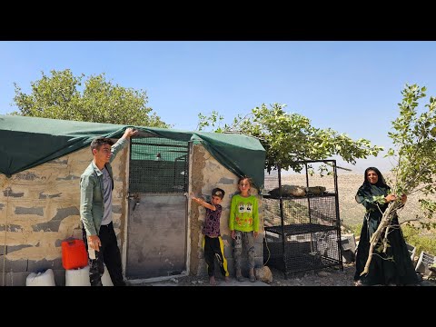 Building a kitchen door and moving soil for the courtyard