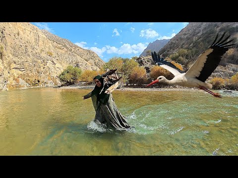 Soghra s Adventure in the Heart of the Zagros Mountains and