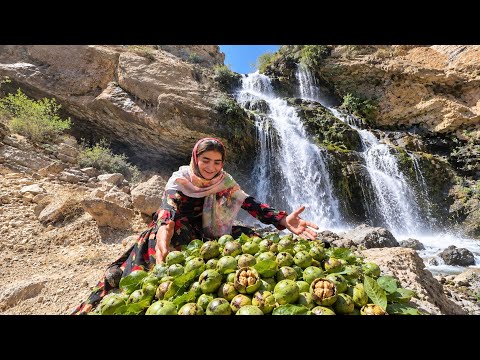 Zeynab s Battle Against the Harshest Mountain The Hidden