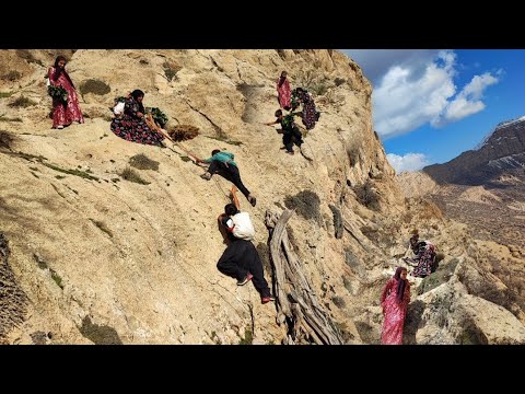 Picking medicinal plants in the mountains by a village