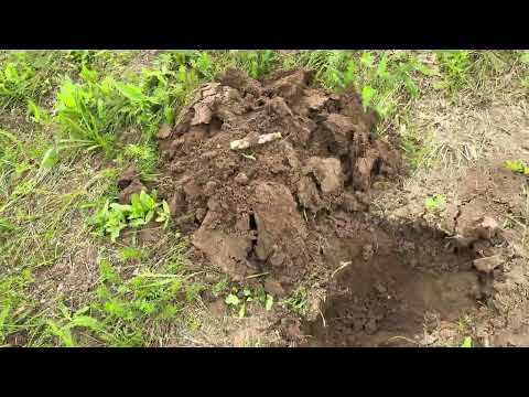 ЦЕЛОЕ ПОСЕЛЕНИЕ ПОД ЗЕМЛЁЙ ТАКИЕ НАХОДКИ ПОПАДАЮТСЯ ТОЛЬКО