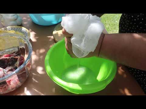 Cooking Fish with Onion Juice on a Campfire In Sadj Grill